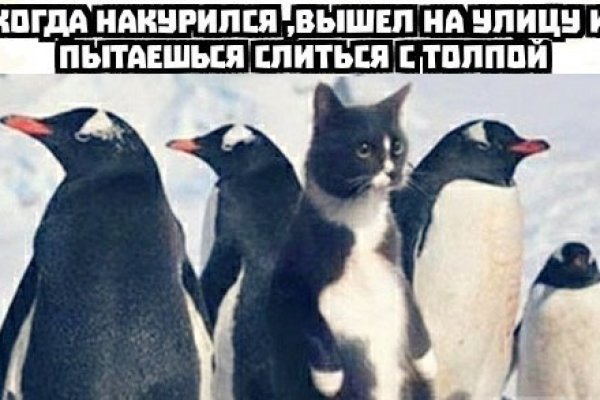 Кракен вход ссылка kraken torion net