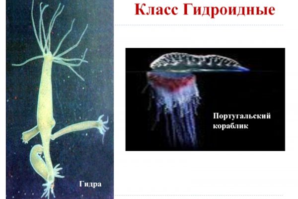 Как зайти на кракен через айфон